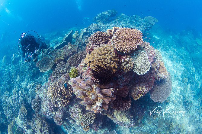 Bali Diving Day Trip-Manta Point/Tulamben Shipwreck-Fun Dive - Getting fitted with equipment in Sanur