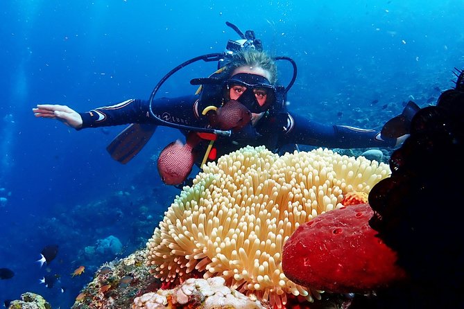Bali Diving for Beginners: Tulamben Liberty Wreck - Lunch and the value of the $89 price
