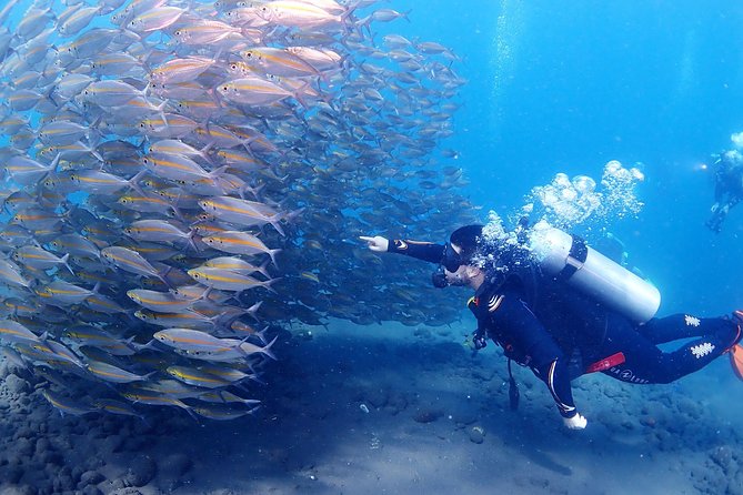 Bali Diving for Beginners: Tulamben Liberty Wreck - Safety rules that deserve attention