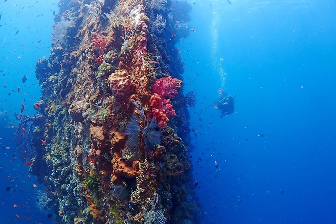 Bali Diving for Beginners: Tulamben Liberty Wreck - Who will enjoy this Tulamben experience