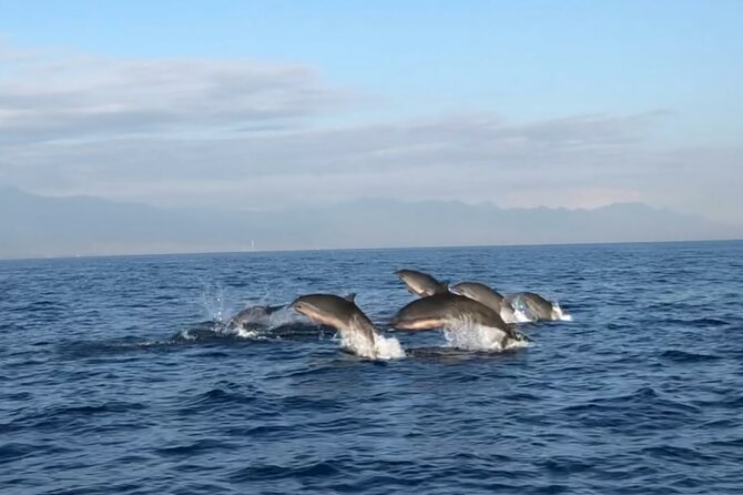 Bali Dolphin Lovina tour and Ulundanu Beratan - Reaching Lovina Beach before sunrise