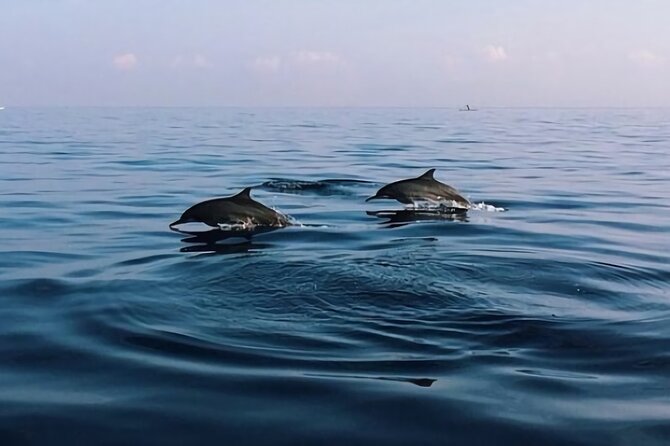 Bali Dolphin Lovina tour and Ulundanu Beratan - The Lovina dolphin boat at 6:00 am