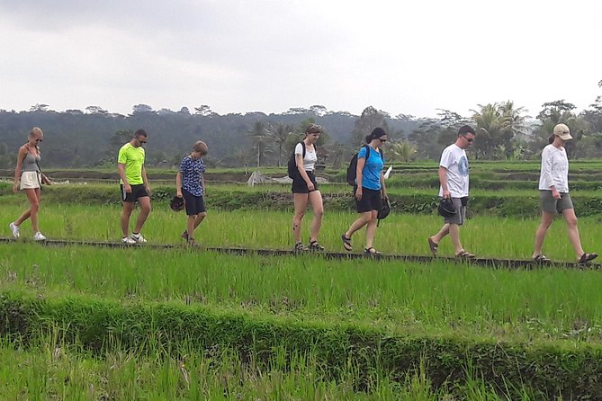 Bali Eco & Educational Cycling Tour - The downhill ride through villages and rice paddies
