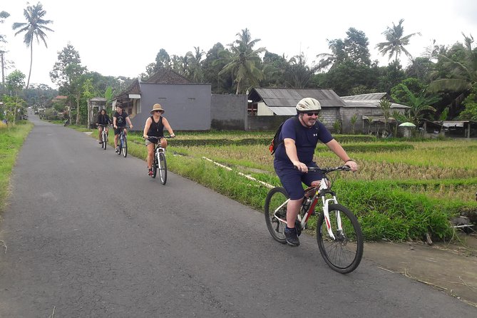 Bali Eco & Educational Cycling Tour - Food breaks that make the $48.87 price work