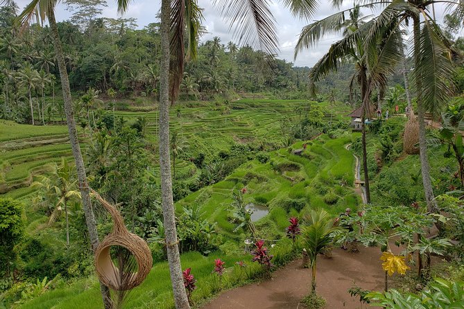 Bali Full Day Holy Water Tour - Craft skills in Celuk and Sari Amerta