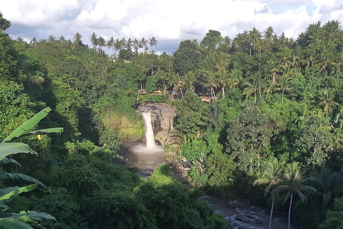 Bali Full Day Holy Water Tour - Lunch with Mount Batur in Kintamani
