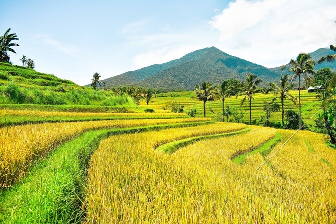 Bali Full-Day Private Customize Tour - Uluwatu Temple begins the southern route