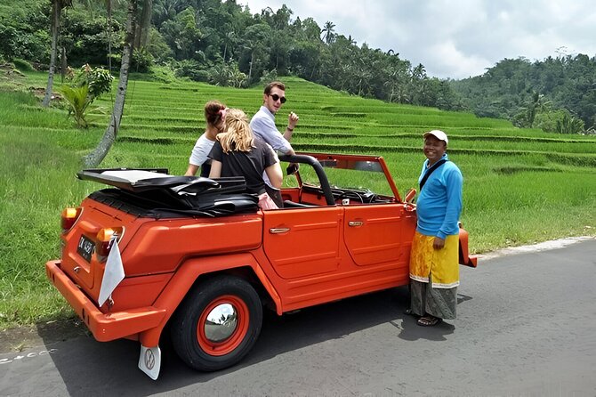 Bali Full-Day The Gate of Heaven Tour by VW Safari Classic Car - What the driver adds to the day