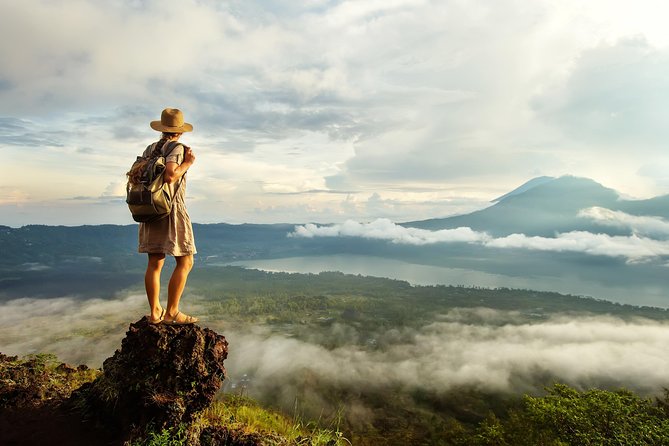 Bali Full Day Tour: Highlights of Ubud and Hidden Waterfall - Who will enjoy this full-day route?