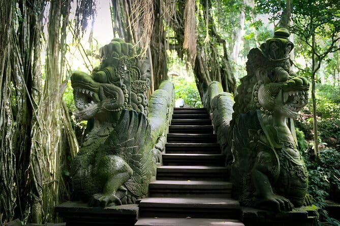 Bali Full-Day Tours : Waterfall and Ubud Destination Trip - Tegalalang Rice Terrace and the best photo pause