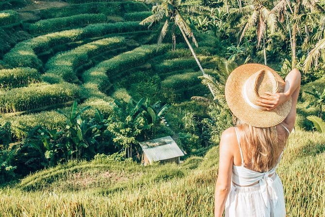 Bali Full-Day Tours : Waterfall and Ubud Destination Trip - Ubud Art Market: the practical final stop