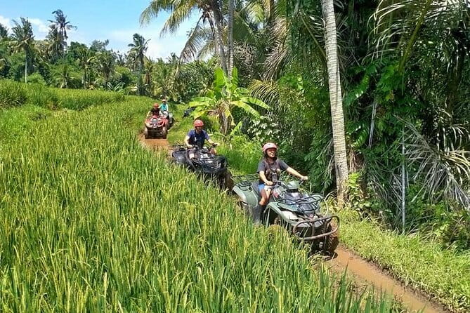 Bali Full-Day Tours : Waterfall and Ubud Destination Trip - What the private driver adds