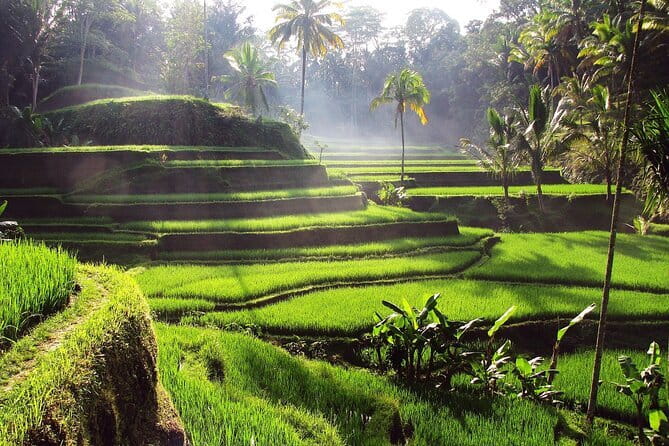 Bali Full-Day Tours : Waterfall and Ubud Destination Trip - Goa Gajah, the Elephant Cave with an archaeological past