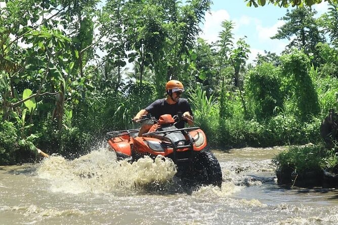 Bali Fun Ride Quad Bike ATV and Waterfall Tour - The family setup: adults drive, children ride