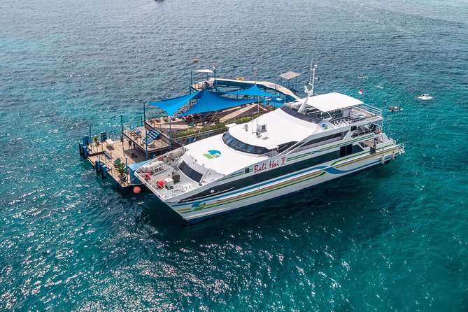 Bali Hai - Reef Cruise - Snorkeling, coral viewing, and the restoration workshop