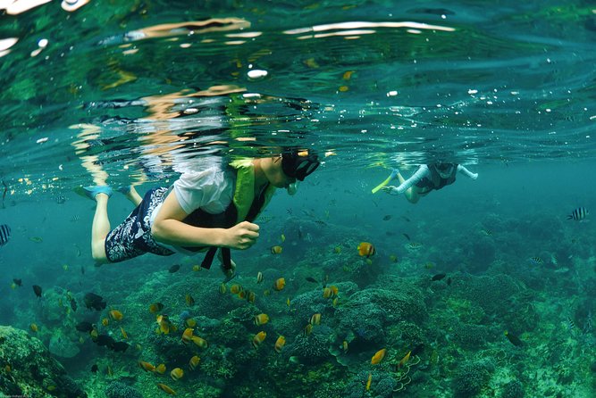 Bali Hai - Reef Cruise - Transfers, timing, and group size