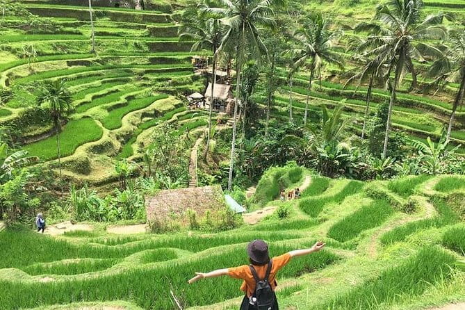 Bali Highlight Private Packages Tours 3 Days - Why this three-day route works for a first Bali visit