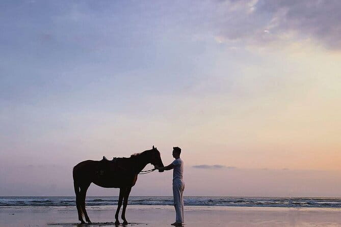 Bali Horse Riding Sanur Beach include Transport - Beginner riding, independent riding, and galloping