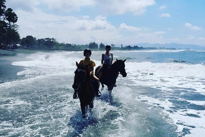 Bali Horse Riding Trot & Canter Saba Beach with Local Temple - Why Saba Beach makes a good riding setting