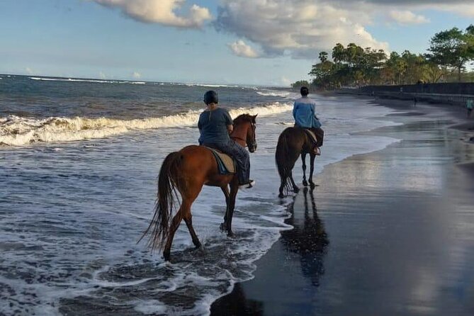 Bali Horse Riding Trot & Canter Saba Beach with Local Temple - Along the shore with a guide