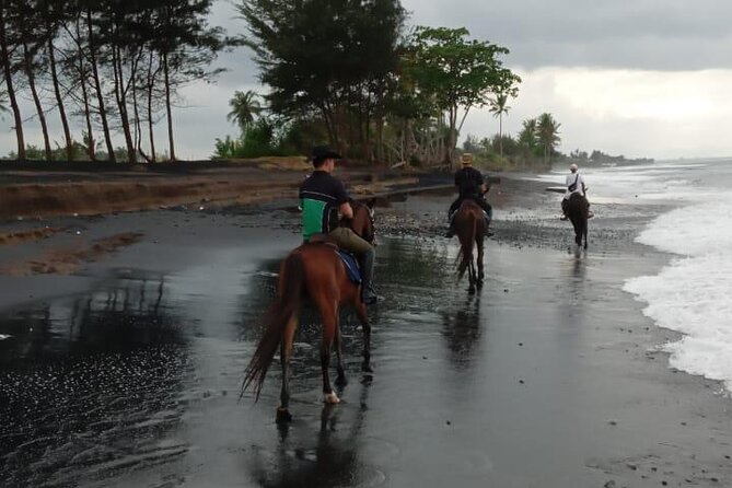 Bali Horse Riding Trot & Canter Saba Beach with Local Temple - Pickup, private groups, and the day’s logistics