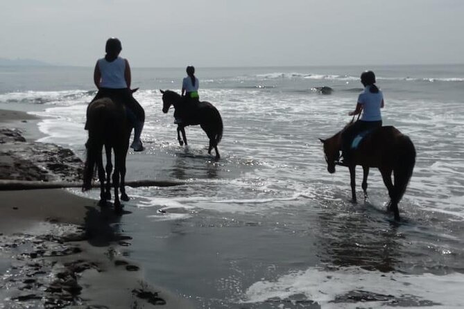 Bali Horse Riding Trot & Canter Saba Beach with Local Temple - Who will enjoy this most