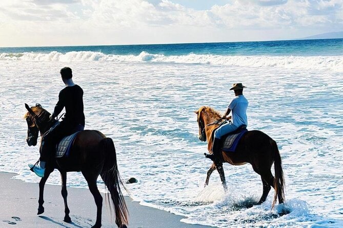 Bali Horse Riding Trot & Canter Saba Beach with Local Temple - What the roughly one-hour outing includes