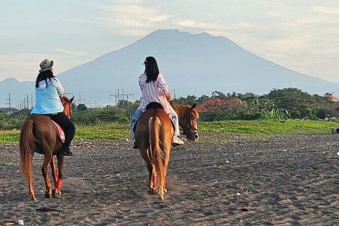 Bali Horse Riding, Waterfall, Rice Terrace, Lunch - All Inclusive - Tegenungan Waterfall adds a short nature stop