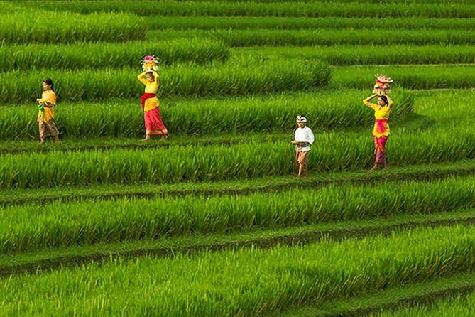 Bali Iconic Tour with Buffet Lunch and Attraction Tickets - Grand Puncak Sari: lunch with Mount Batur