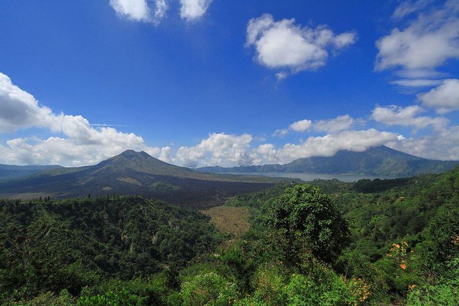 Bali Iconic Tour with Buffet Lunch and Attraction Tickets - Tegalalang Rice Terrace: Bali’s working countryside