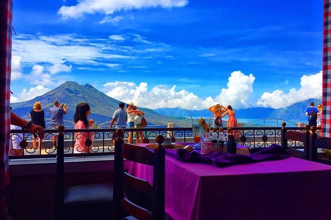 Bali Iconic Tour with Buffet Lunch and Attraction Tickets - The private car and driver-guide setup