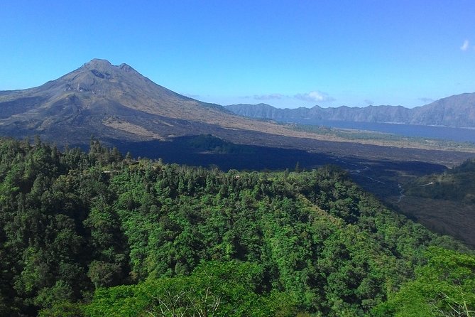 Bali in 1-Day : Rice Terrace, Volcano, Tanah lot - All Inclusive - A full day from your hotel or port