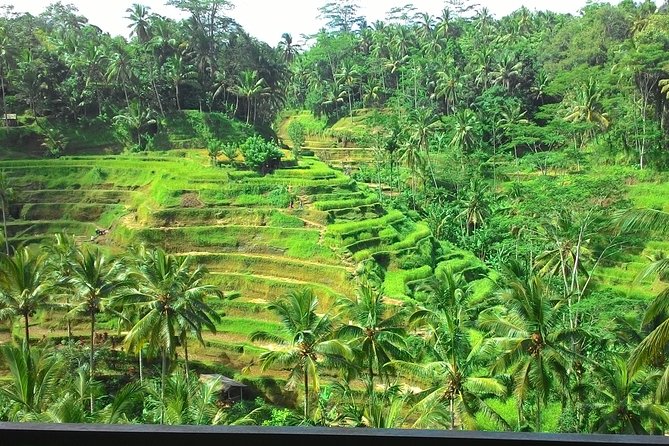 Bali in 1-Day : Rice Terrace, Volcano, Tanah lot - All Inclusive - Choosing a craft village without pressure