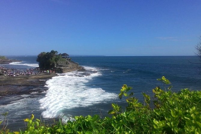 Bali in 1-Day : Rice Terrace, Volcano, Tanah lot - All Inclusive - Tegallalang Rice Terrace and the included meal