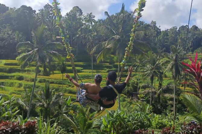Bali in 1-Day : Rice Terrace, Volcano, Tanah lot - All Inclusive - Uma Pakel coffee and plant tour