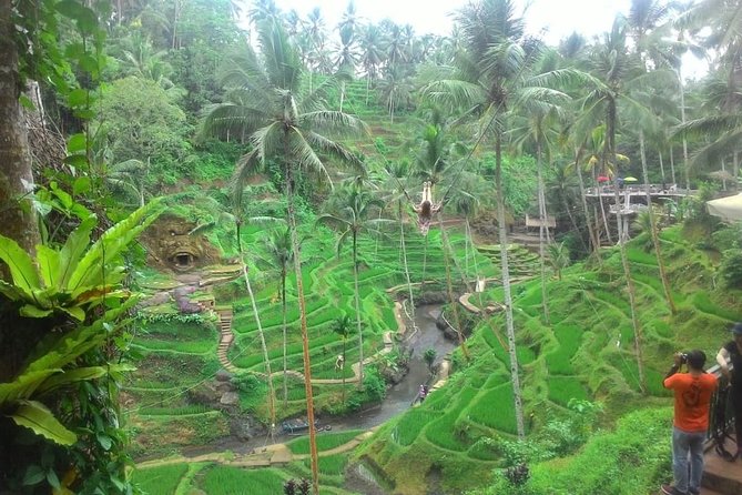 Bali in 1-Day : Rice Terrace, Volcano, Tanah lot - All Inclusive - Tanah Lot at sunset