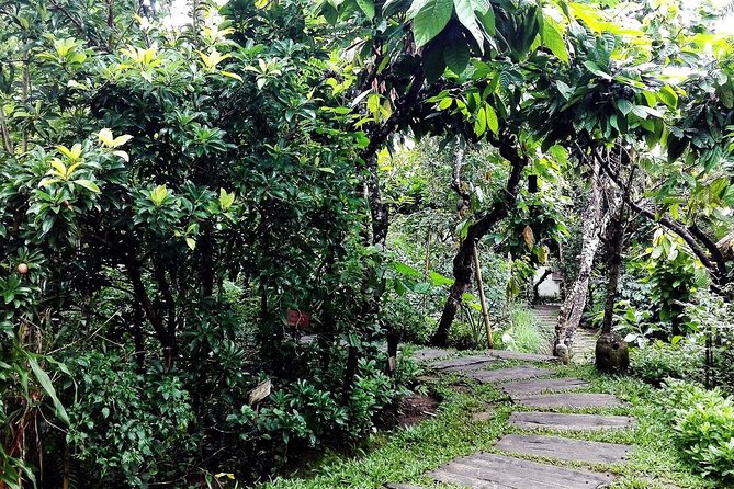 Bali in 1-Day : Rice Terrace, Volcano, Tanah lot - All Inclusive - Batuan Temple and the details of Balinese worship