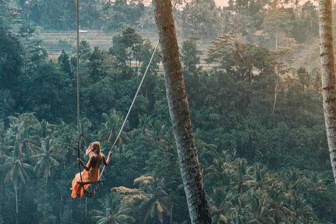 Bali Instagram Most Iconic Spots Private Tour - What this Bali photo tour is really trying to do