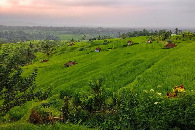 Bali Instagram Tour - Lempuyang Bali Gate of Heaven - What the private vehicle adds to a very long day