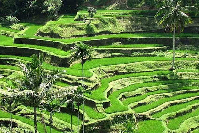 Bali Instagram Tour : The Most Popular Spots In Bali - The long day, group size, and practical pace