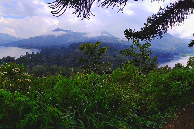 Bali Jungle Trekking and Lake Canoeing Tour - Walking down to Buyan Lake beneath old trees