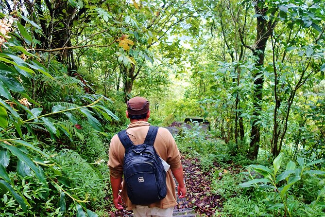 Bali Jungle Trekking in Beautiful Rainforest - Lunch, vegetarian meals, and what is included