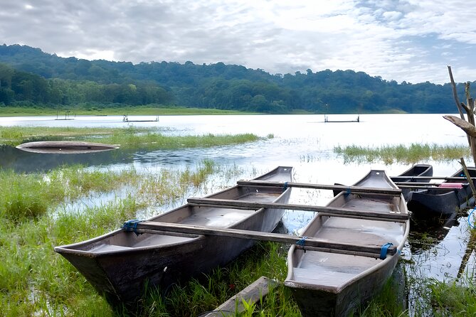 Bali Jungle Trekking in Beautiful Rainforest - Is $80 a fair price?