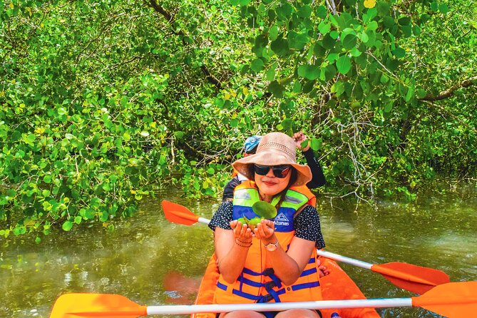 Bali Mangrove Canoeing Tour - Why Bali’s mangroves are worth your morning