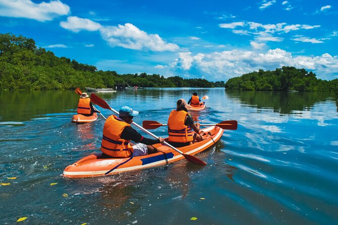 Bali Mangrove Canoeing Tour - Weather, tides, and the flexible route