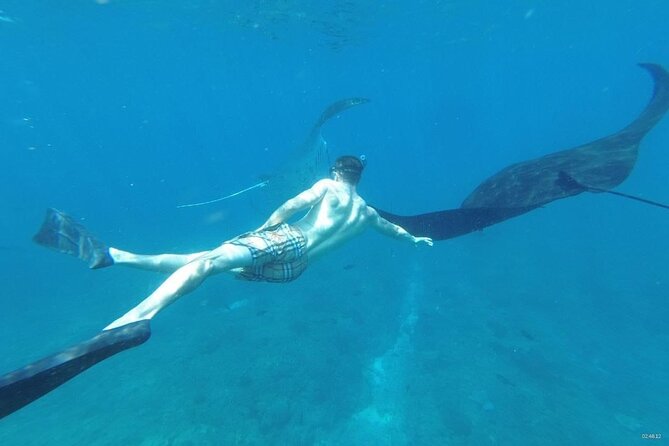Bali Nusa Penida and Private Snorkeling (Manta Bay, Gamat, Wall) - Why this Nusa Penida day works