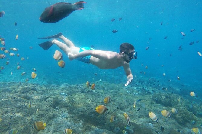 Bali Nusa Penida and Private Snorkeling (Manta Bay, Gamat, Wall) - Gamat Bay’s clear water and current