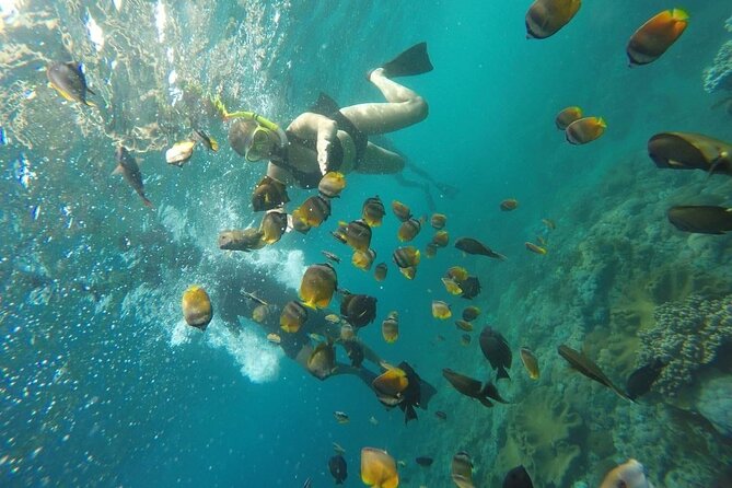 Bali Nusa Penida and Private Snorkeling (Manta Bay, Gamat, Wall) - Wall Bay and the final water stop