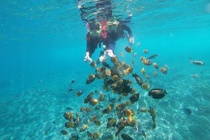 Bali Nusa Penida and Private Snorkeling (Manta Bay, Gamat, Wall) - Transport, lunch, and what the $145 covers
