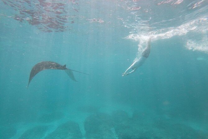 Bali Nusa Penida and Private Snorkeling (Manta Bay, Gamat, Wall) - Angel’s Billabong and the Broken Beach arch